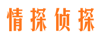 旺苍市调查公司